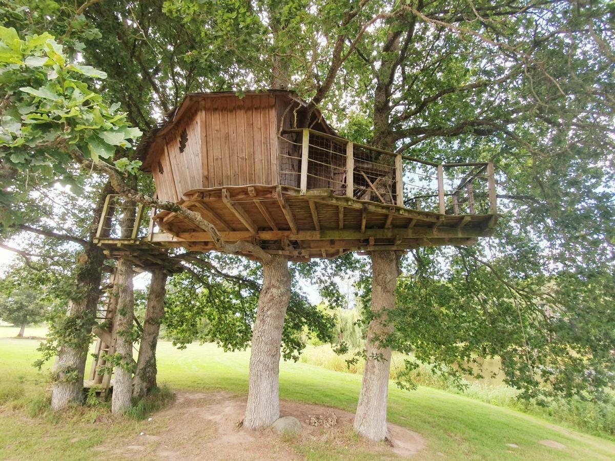 Le Petit Moulin Du Rouvre Affittacamere